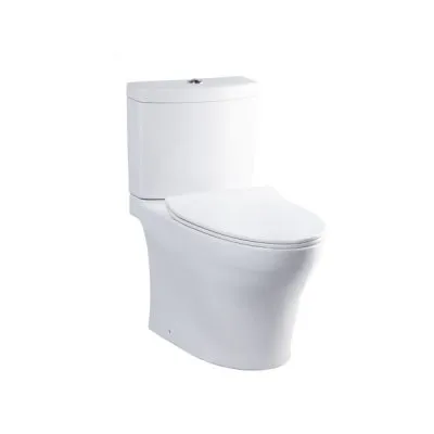 Bàn cầu hai khối, nắp đóng êm TC600VS TOTO CS769DRT8