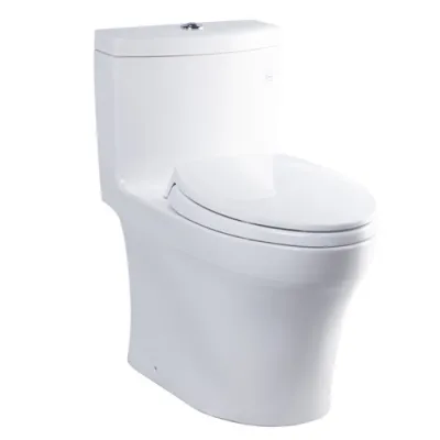 Bàn cầu một khối nắp đóng êm TOTO MS889DRT2