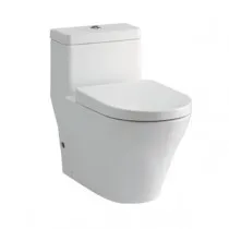 Bàn cầu 1 khối ToTo CW166B/PB
