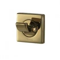 Móc áo Toto DSH71#PG